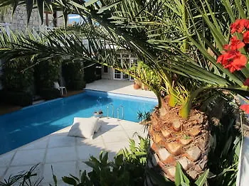 Alenos Boutique Hotel Alaçatı 2*,  Turkiet